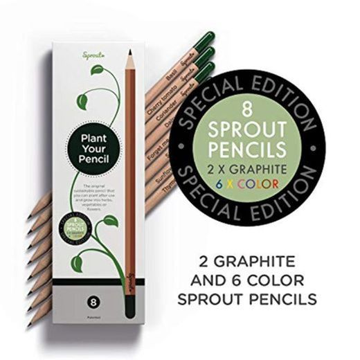 Sprout lápices de colores plantables |Set de 2 de grafito y 6