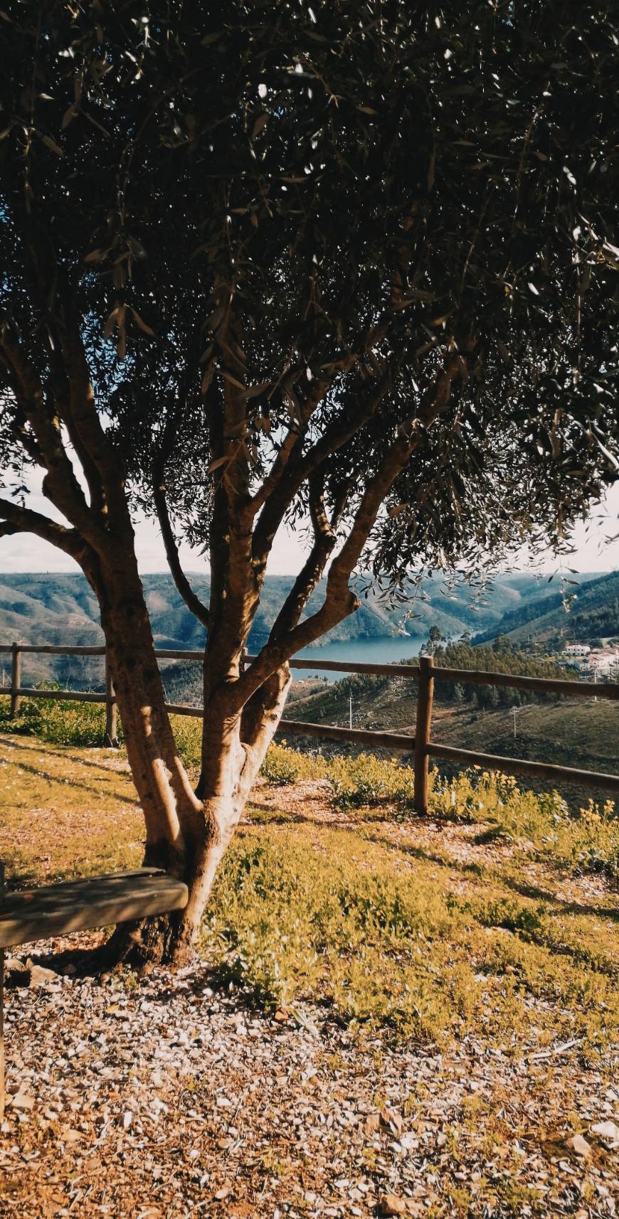 Place Ferreira do Zêzere