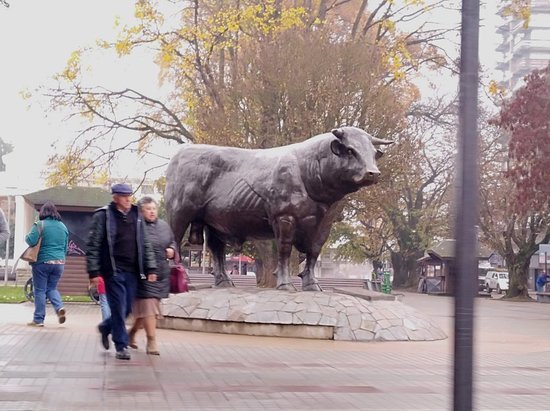 Lugar Plaza de Armas de Osorno