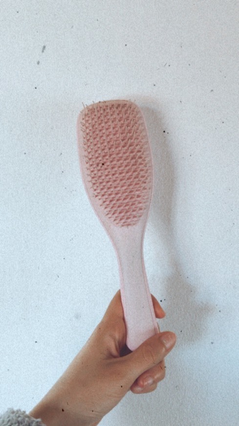 Fashion The Wet Detangler Hairbrush