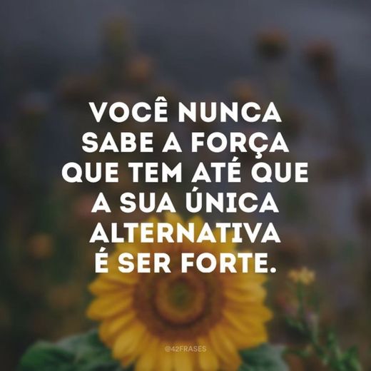 Tudo sobre a vida