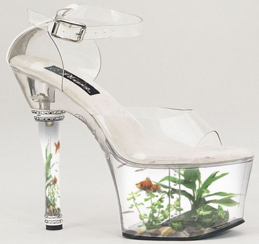 Social Calçados bizarros