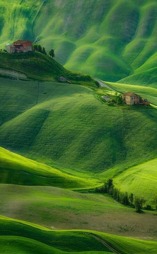 Fashion Italy Lush Green 