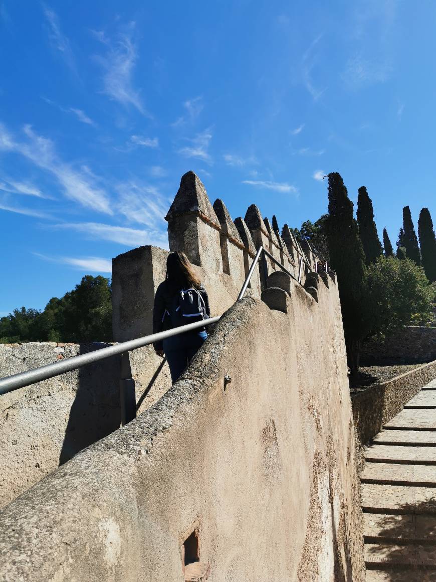 Lugar Castillo de Gibralfaro