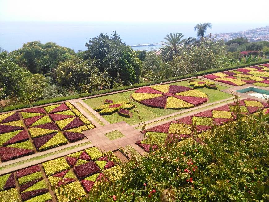 Lugar Jardín Botánico de Madeira