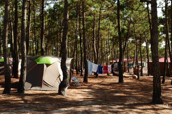 Lugar Parque de campismo Ericeira