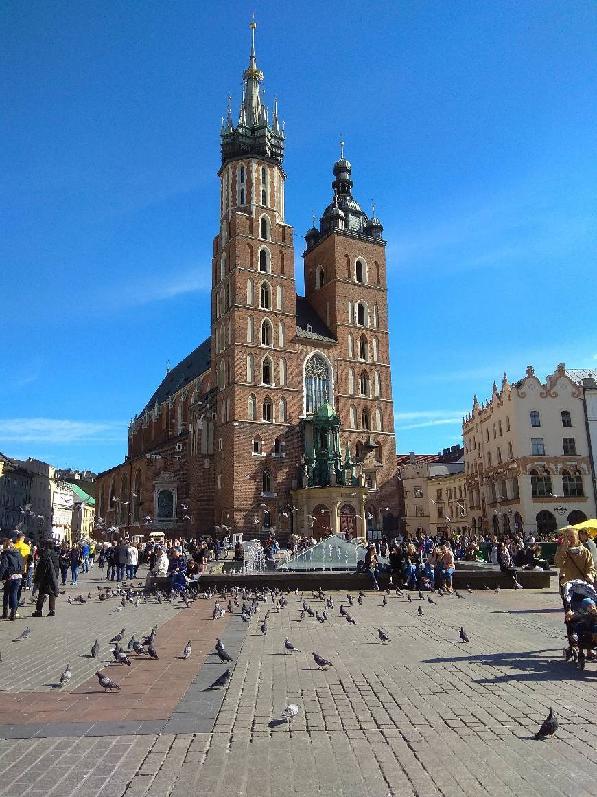 Place Basílica de Santa María