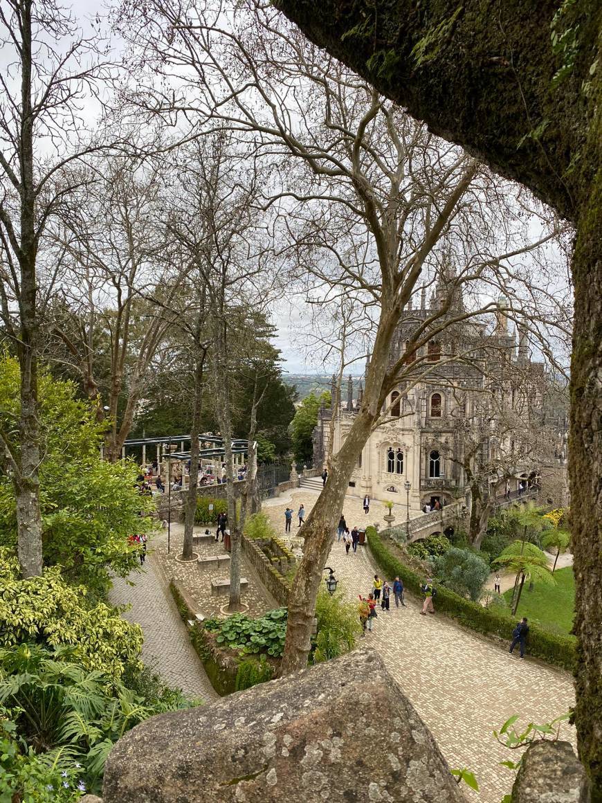 Place Quinta da Regaleira