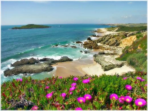 Praia da Ilha do Pessegueiro