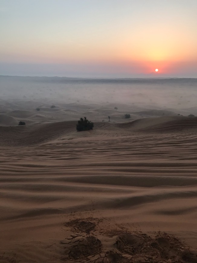 Place Desert Safari Dubai