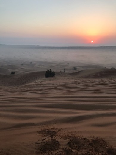 Desert Safari Dubai
