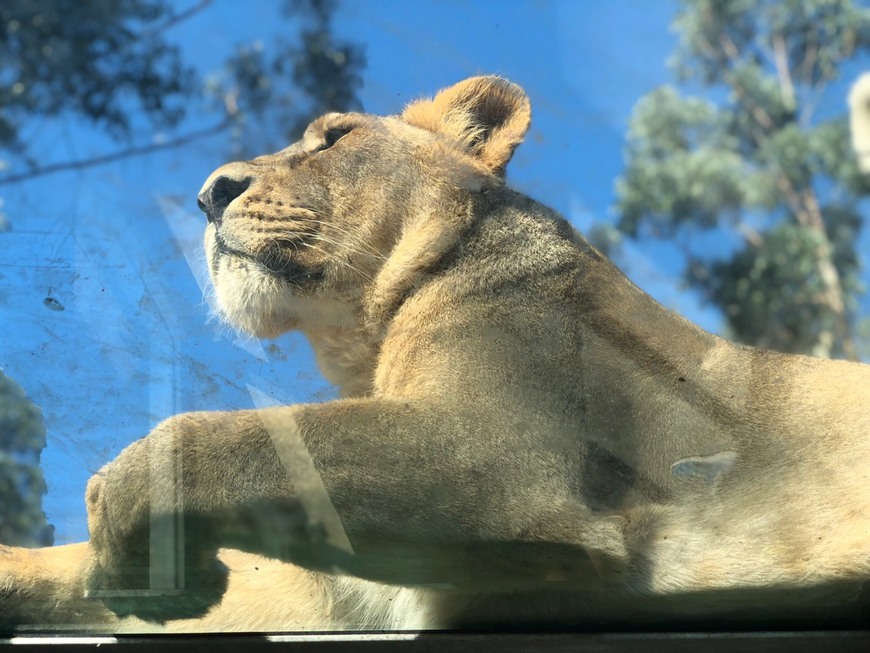 Lugar Zoo Santo Inácio