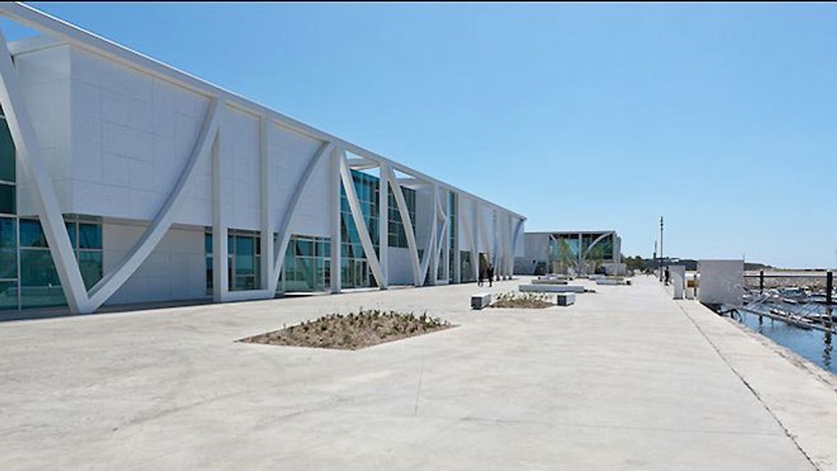 Lugar Marina da Afurada