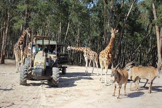 Badoca Safari Parque