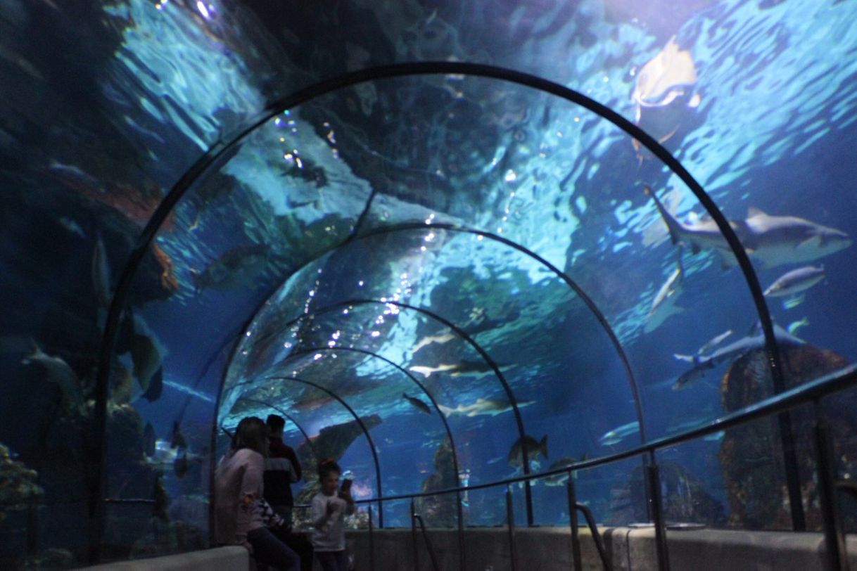 Lugar Aquarium de Barcelona