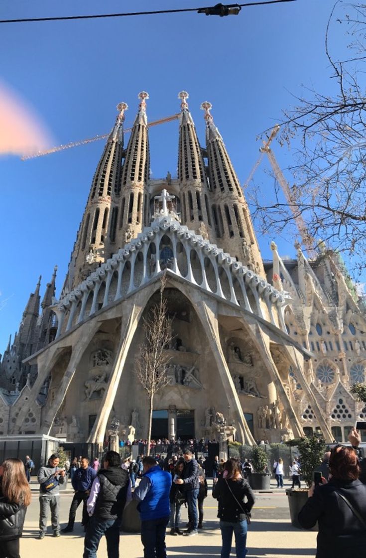 Lugar Basílica Sagrada Familia