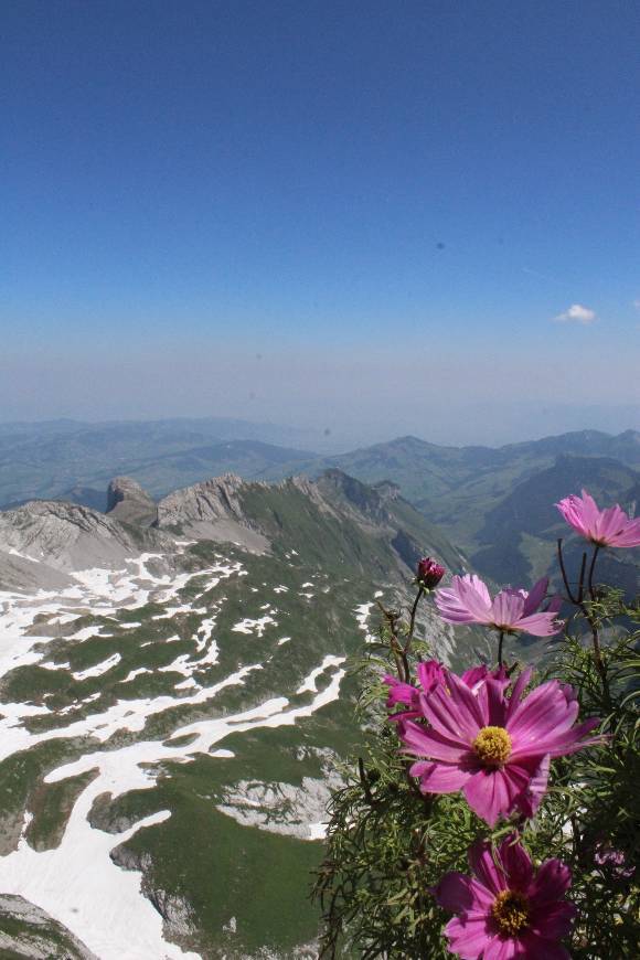 Lugar Säntis