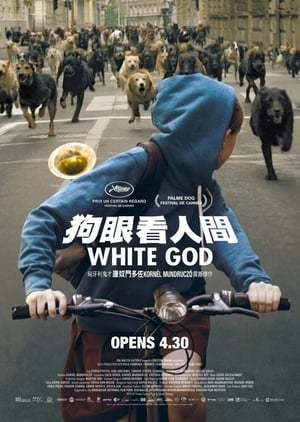 Movie White God (Dios blanco)