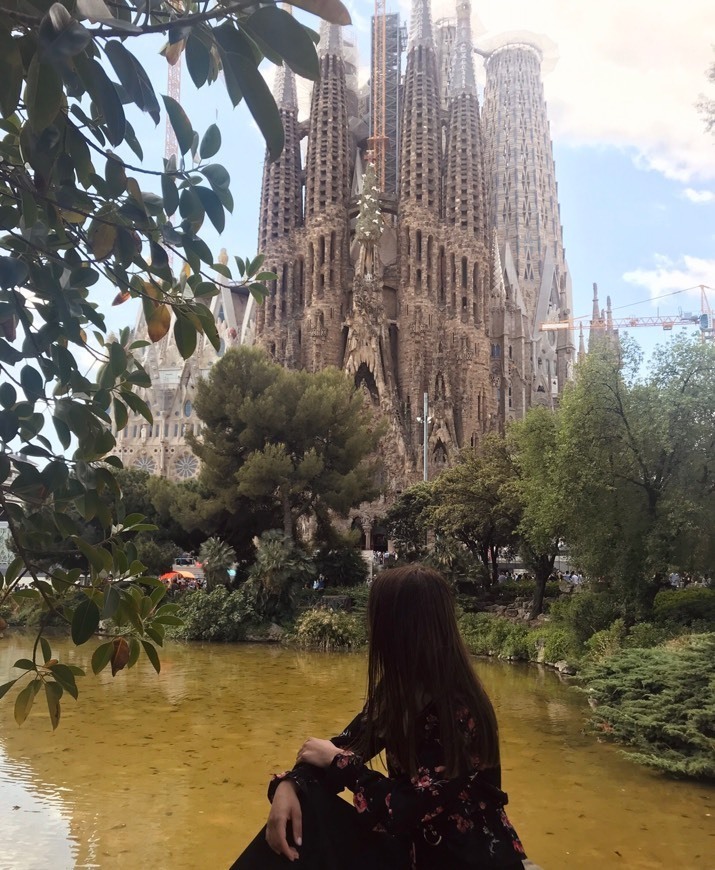 Lugar Basílica Sagrada Familia