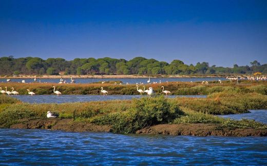 Reserva natural del Estuario del Sado