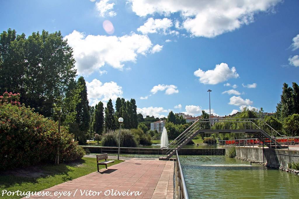 Lugar Parque da Cidade