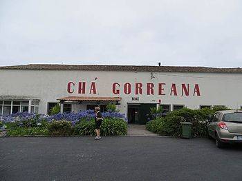 Lugar Chá Gorreana