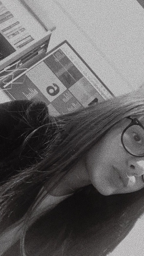 Social 🐆