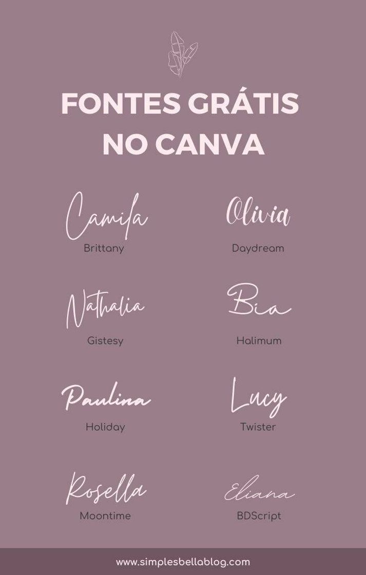 App Canva: Graphic Design & Video