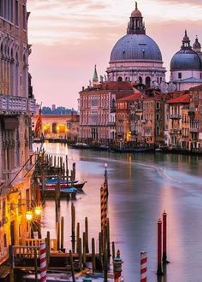 Place Venecia