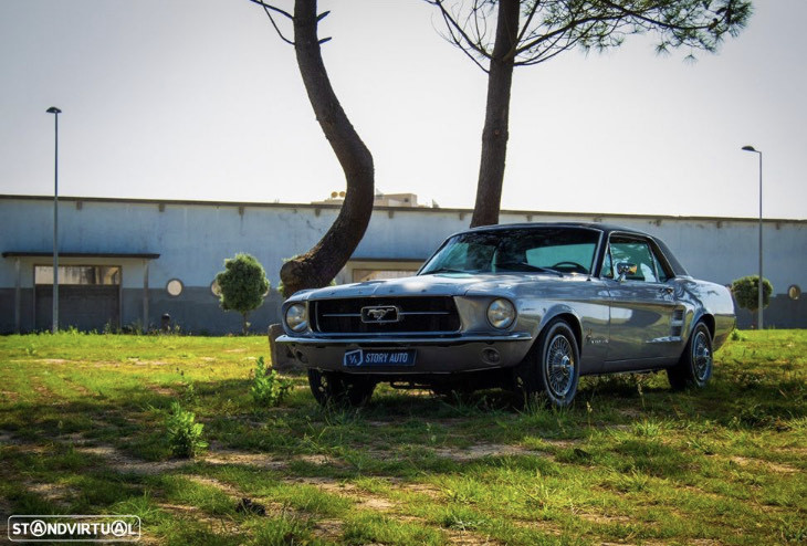 Social Mustang 