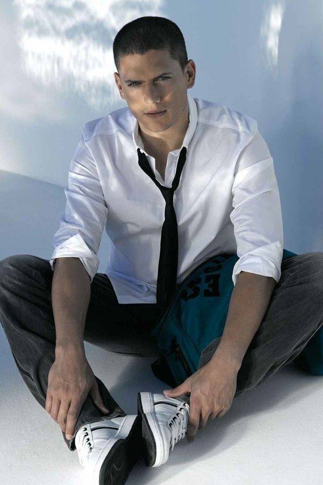 Fashion Wentworth Miller