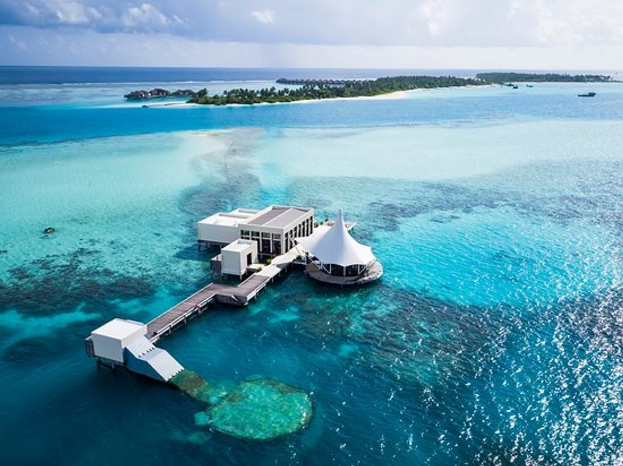 Place Niyama Private Islands Maldives