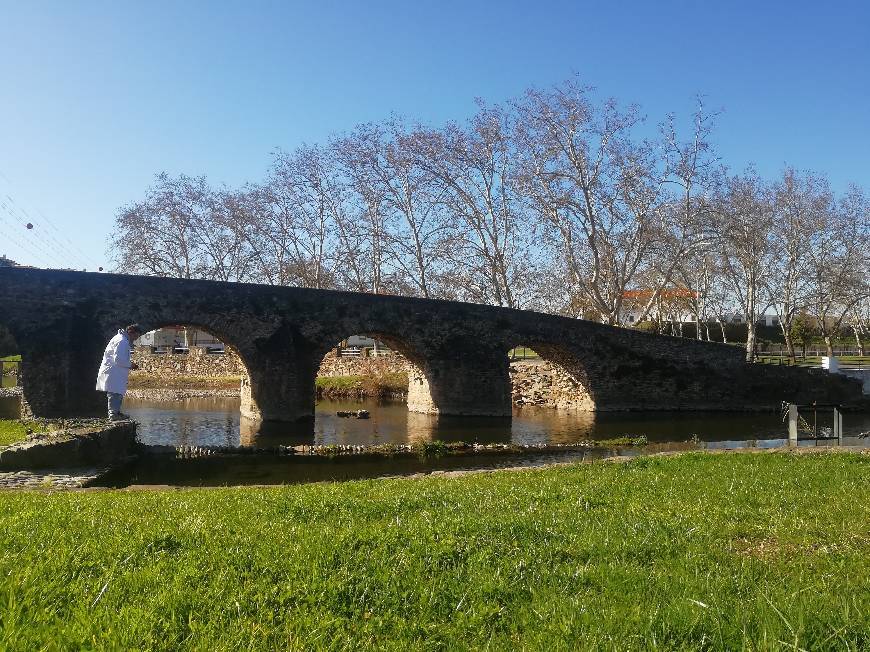 Place Pedrógão Grande