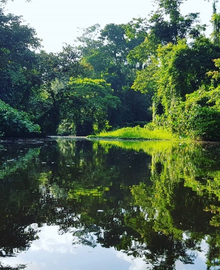 Lugar Tortuguero National Park