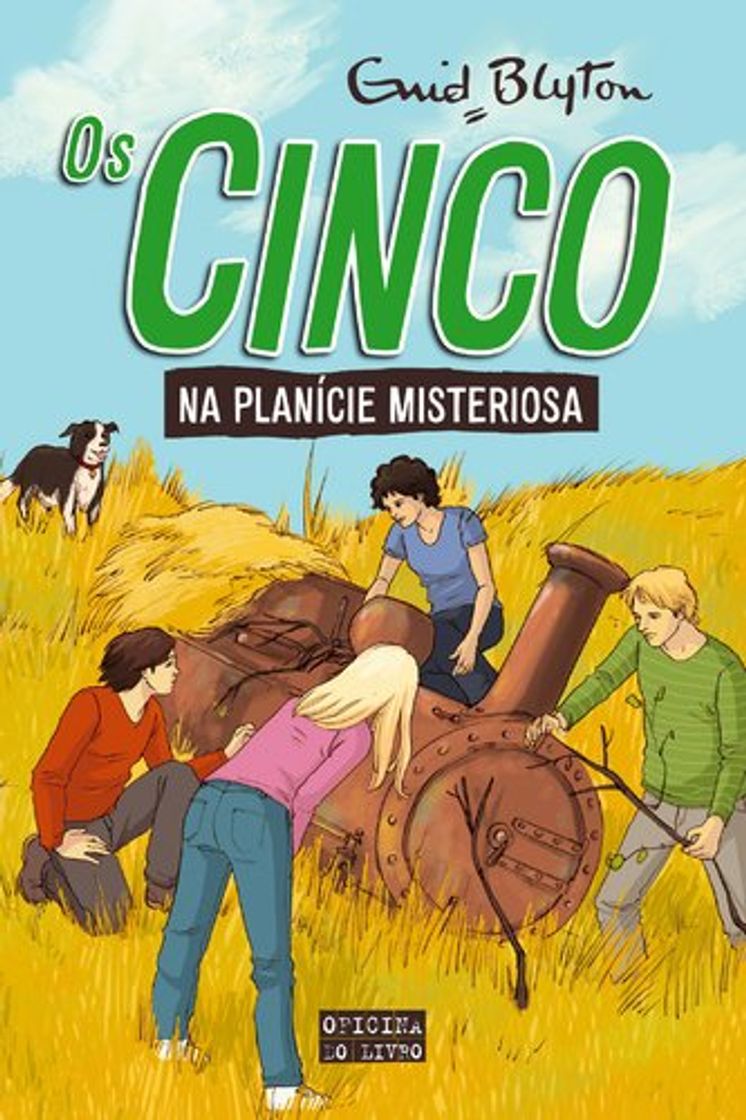 Book Os Cinco Na Planície Misteriosa