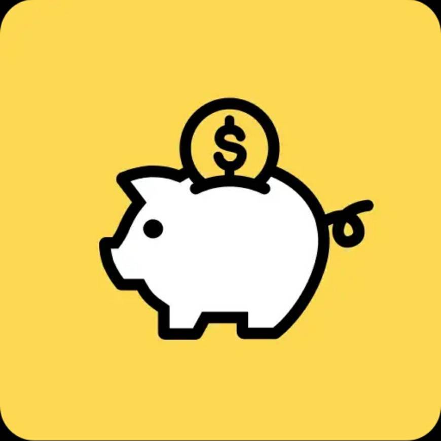 App Money Manager