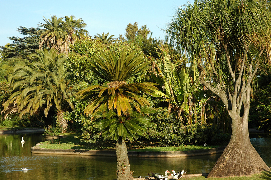 Place Tropical Botanical Garden