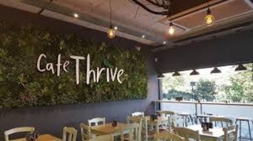 Cafe Thrive Southampton