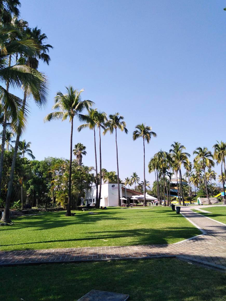 Lugar Ex Hacienda de Temixco Parque Acuático