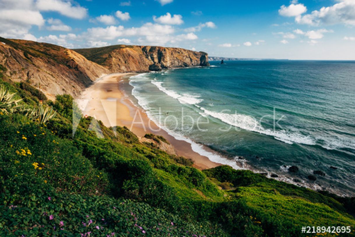 Lugar Arrifana Beach