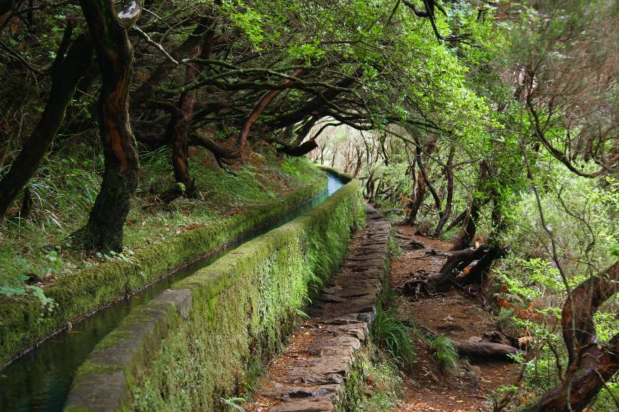Lugar Levada do Norte