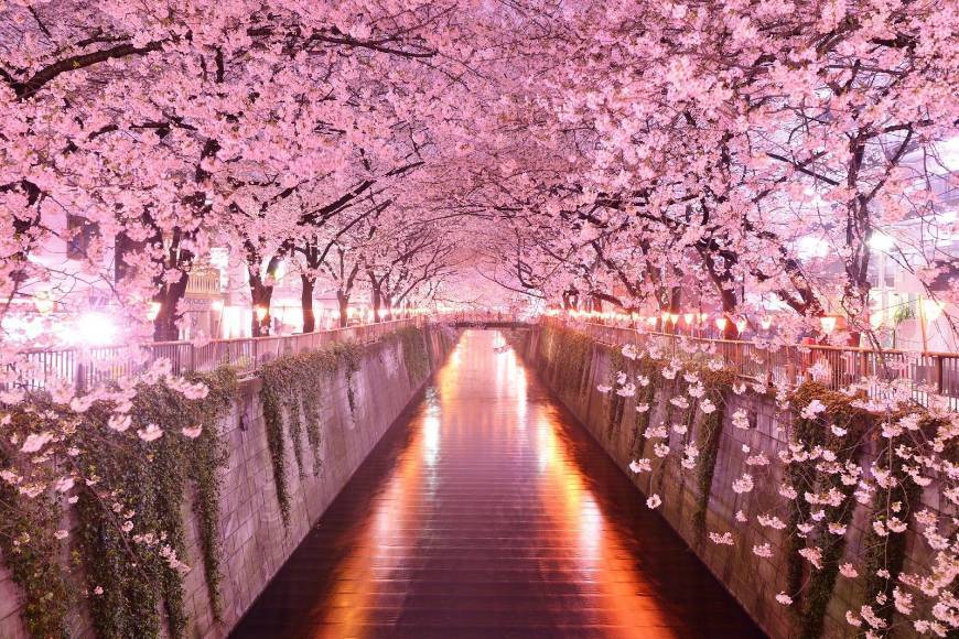 Lugar Jardim de Nishinomaru Garden, Japão