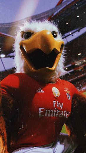 Benfica Wallpaper by jaa95 on DeviantArt