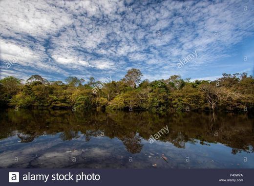 Place Amazonia