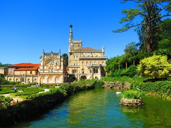 Lugar Mata Nacional do Buçaco