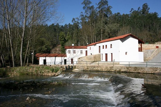 Lugar Parque Temático Molinológico - Moinhos de Azeméis