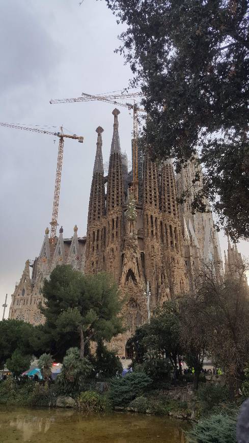 Place Basílica Sagrada Familia
