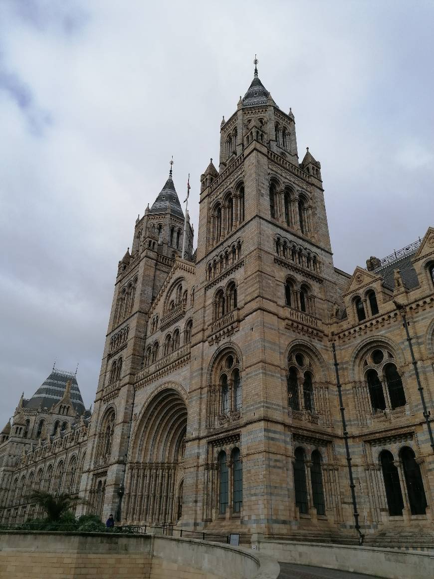 Lugar Museum Of Natural History