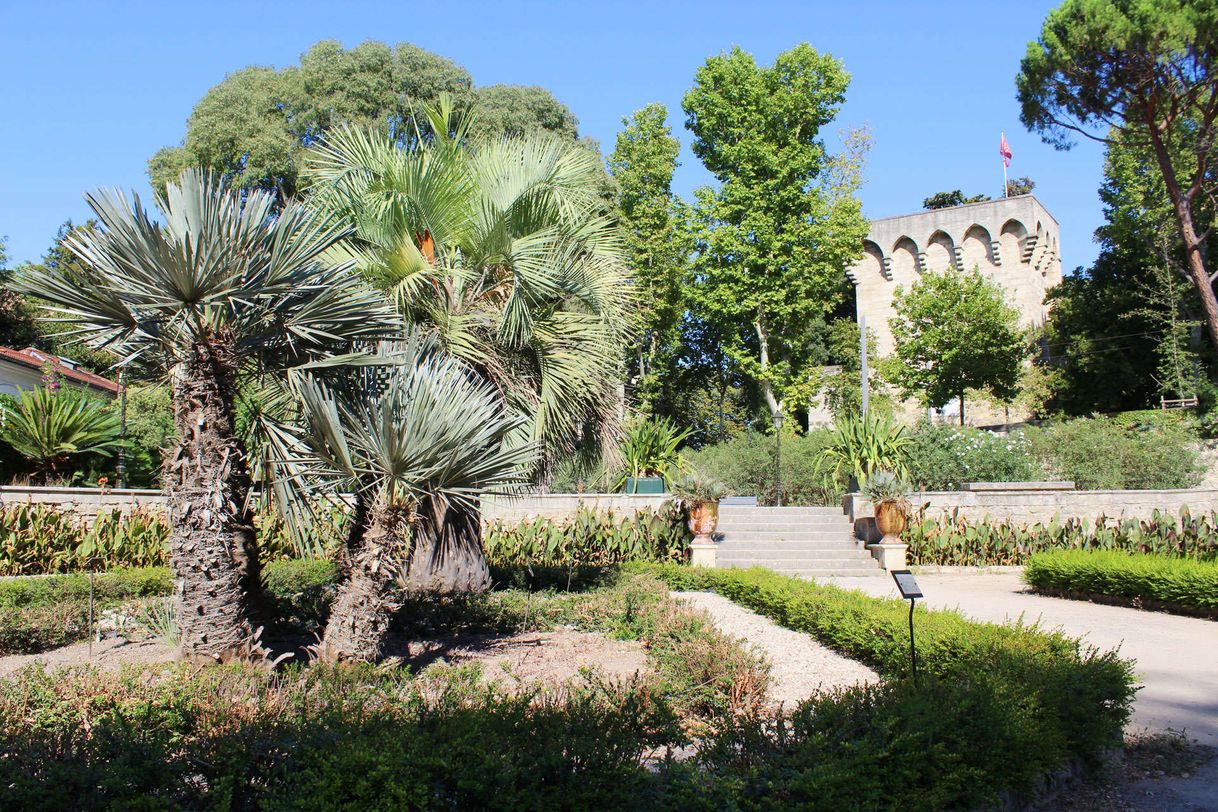 Lugar Jardin des Plantes de Montpellier