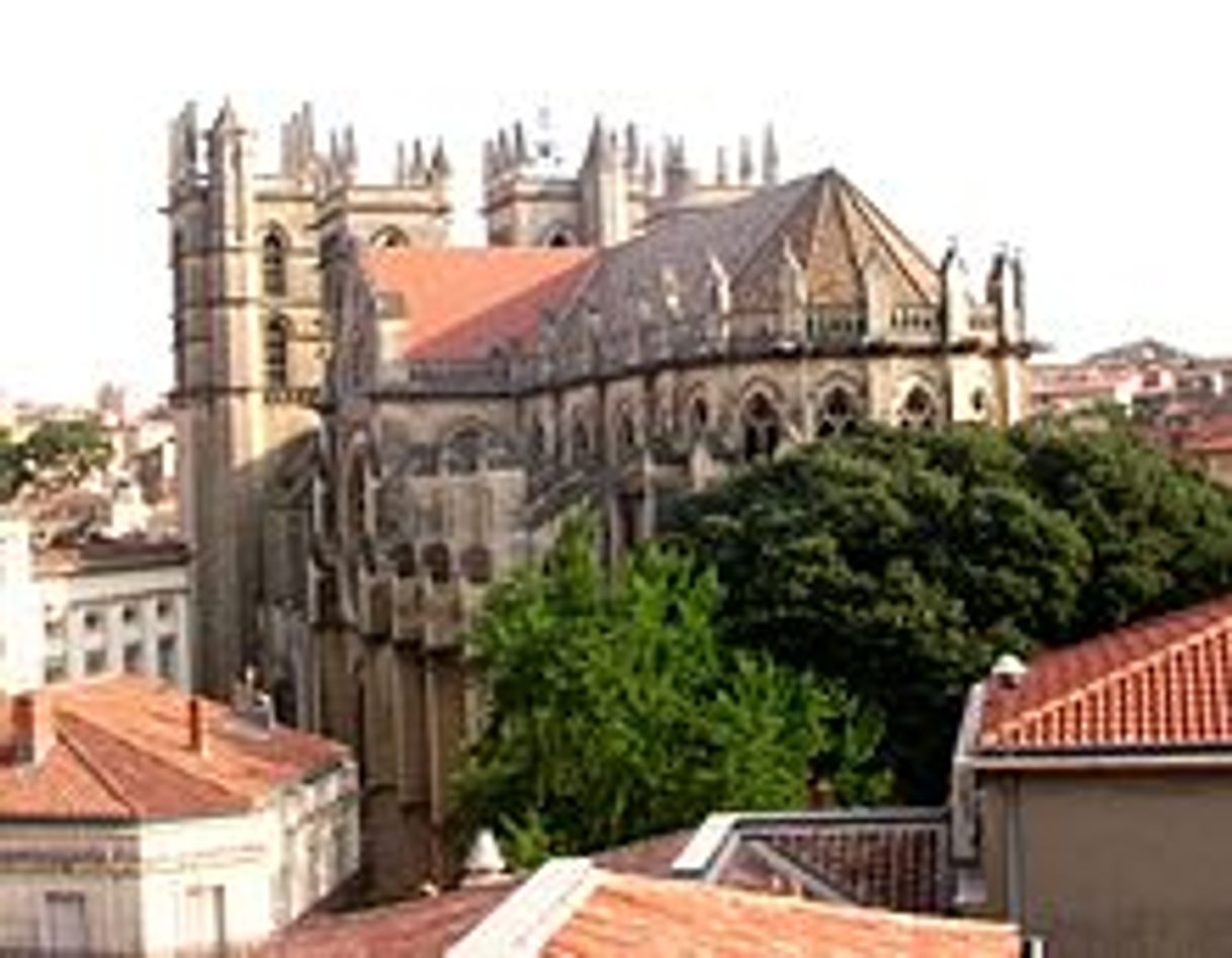 Place Catedral de San Pedro de Montpellier